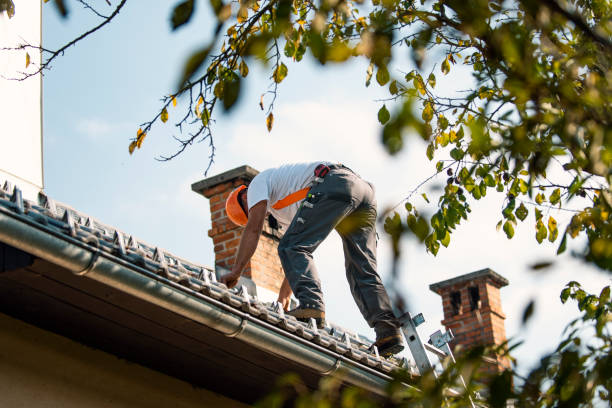 Best Storm Damage Roof Repair  in Colmar Manor, MD